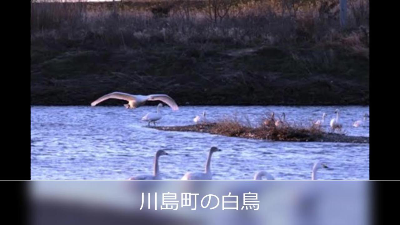 Le Ciel Spa & Resort (Adults Only) Tsurugashima Zewnętrze zdjęcie